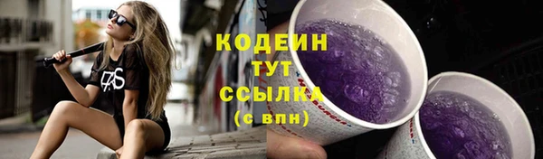 крисы Тобольск