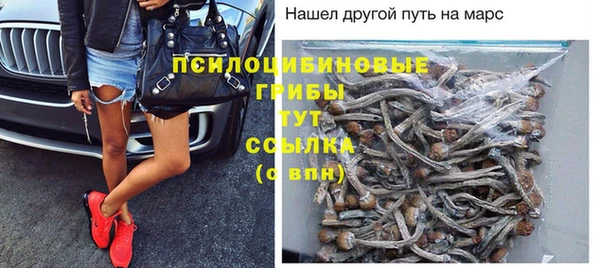 бутират Горно-Алтайск