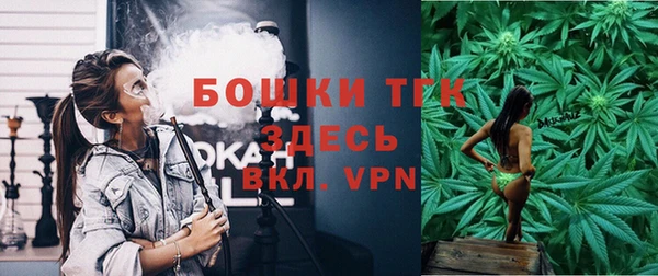 Альфа ПВП Медногорск