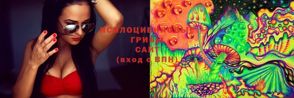 бутират Горно-Алтайск
